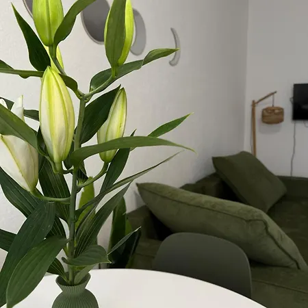 Διαμέρισμα Leaf Cozy And Modern