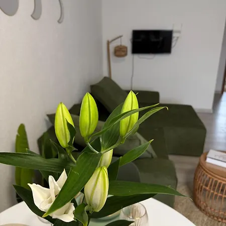 Διαμέρισμα Leaf Cozy And Modern *